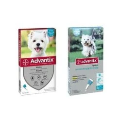 Bayer Advantix Spot On Cani Da 4 A 10 Kg 1 Pipetta