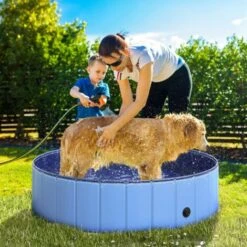 PawHut Piscina Per Cani In Plastica Bordo Stabile, 120x30cm (ØxH) -Cibi per cani in Italia 3993874 2