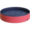 PawHut Piscina Per Cani In Plastica Bordo Stabile, 160x30cm (ØxH) -Cibi per cani in Italia 3993875 1
