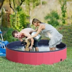 PawHut Piscina Per Cani In Plastica Bordo Stabile, 160x30cm (ØxH) -Cibi per cani in Italia 3993875 2