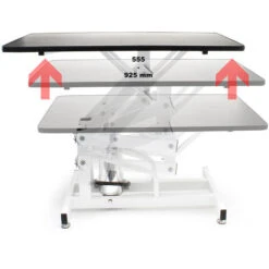 Tavolo Da Toelettatura Tosatura Pieghevole Per Cani Gatti Antiscivolo 9 Tavolo Da Toelettatura Tosatura Pieghevole Per Cani Gatti Antiscivolo -Cibi per cani in Italia 4127569 3