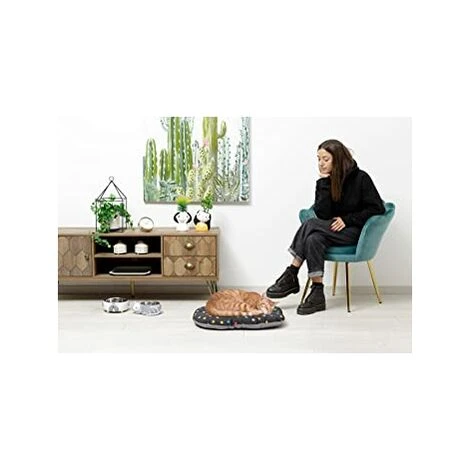 Baroni Home Cuscino Per Cani E Gatti Tessuto, Lavabile, Cuccia Taglia S 40x60x7 Cm - Grigio E Stelle 5 Baroni Home Cuscino Per Cani E Gatti Tessuto, Lavabile, Cuccia Taglia S 40x60x7 Cm - Grigio E Stelle - immagine 3