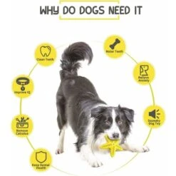 SOEKAVIA Giocattoli Da Masticare Per Cani, Giocattoli Per La Pulizia Dei Denti Dei Cani, Giocattoli Che Cigolano In Gomma Naturale, Giochi D'acqua, Giocattoli Per La Cura Dei Denti Per Cani, Giocattol -Cibi per cani in Italia 44261424 4