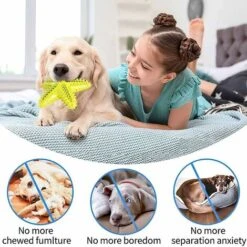 SOEKAVIA Giocattoli Da Masticare Per Cani, Giocattoli Per La Pulizia Dei Denti Dei Cani, Giocattoli Che Cigolano In Gomma Naturale, Giochi D'acqua, Giocattoli Per La Cura Dei Denti Per Cani, Giocattol -Cibi per cani in Italia 44261424 5