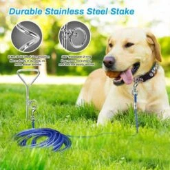 SOEKAVIA Guinzaglio Per Cani Con Ancoraggio A Spirale, Cavo Per Legare Per Cani Da 5 M Con Picchetto A Spirale Da 40 Cm Per Cani Fino A 120 Libbre Per Gioco, Campo E Cortile Nel Terreno (blu) 9 SOEKAVIA Guinzaglio Per Cani Con Ancoraggio A Spirale, Cavo Per Legare Per Cani Da 5 M Con Picchetto A Spirale Da 40 Cm Per Cani Fino A 120 Libbre Per Gioco, Campo E Cortile Nel Terreno (blu) -Cibi per cani in Italia 44261845 3
