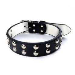 Trade Shop - Collare Con Borchie Tonde Per Cani Taglia Grande Chiusura Con Fibbia Regolabile -Cibi per cani in Italia 47205556 3