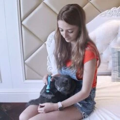 Kueatily Pettine Per La Toelettatura Degli Animali Domestici, Rastrello Per Smacchiare, Pettine Per Cani E Gatti, Per Rimuovere Il Sottopelo Sciolto (blu/a Doppia Faccia) 10 Kueatily Pettine Per La Toelettatura Degli Animali Domestici, Rastrello Per Smacchiare, Pettine Per Cani E Gatti, Per Rimuovere Il Sottopelo Sciolto (blu/a Doppia Faccia) -Cibi per cani in Italia 47436729 4