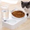 Kueatily Confezione Da 2 Ciotole Per Acqua E Cibo, Distributore Automatico Di Acqua Con Ciotola Per Alimenti, Per Cani E Gatti Di Taglia Piccola O Media -Cibi per cani in Italia 47436955 1