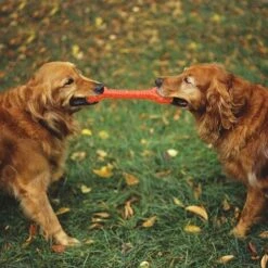 Kueatily Giocattolo Per Cani Indistruttibile Per Masticatori Aggressivi Di Taglia Grande, Giocattoli Da Masticare Forti Per Cani Di Grossa Taglia, Giocattoli Interattivi Per Cani Di Taglia Grande -Cibi per cani in Italia 47437873 4