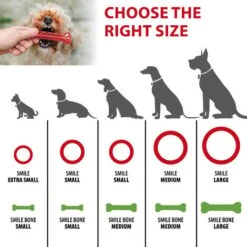 Ferplast SMILE Gioco Dentale Per Cani Con Cristalli Di Bicarbonato Per L'igiene Orale. Varie Misure E Colori.. Variante S - Misure: Ø 12 X 2.4 Cm - Rosso -Cibi per cani in Italia 48098314 2
