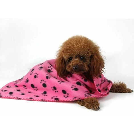 Coperta Cane 60X90cm Colore Assortito Coperta Poliestere Termica Morbida Per Cani E Gatti 4 Coperta Cane 60X90cm Colore Assortito Coperta Poliestere Termica Morbida Per Cani E Gatti - immagine 2