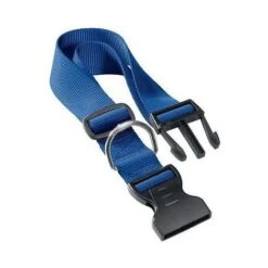 Collare Per Cane Cani Club Blu Regolabile 30-44 Cm Nylon Articoli Animali