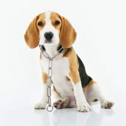 MADE IN ITALY Collare A Strozzo Con Maglia Salva Pelo In Acciaio Nichelato Per Cani -Cibi per cani in Italia 51166201 3