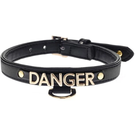 Ferribiella Collare Danger In Pelle Sintetica Le Dangerouge Per Cani: Collare Danger S - Nero 3 Ferribiella Collare Danger In Pelle Sintetica Le Dangerouge Per Cani: Collare Danger S - Nero