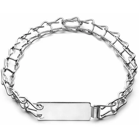 Record Collare A Scaletta In Acciaio Cromato Con Targhetta Per Cani: 1,5 X 55 Cm Collare 3 Record Collare A Scaletta In Acciaio Cromato Con Targhetta Per Cani: 1,5 X 55 Cm Collare