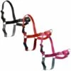 PetSafe Pettorina Modello Easy Walk Per Cani: XS Rosa 2 PetSafe Pettorina Modello Easy Walk Per Cani: XS Rosa -Cibi per cani in Italia 51831329 1