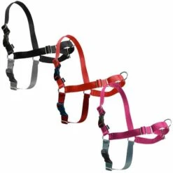 PetSafe Pettorina Modello Easy Walk Per Cani: XS Rosa