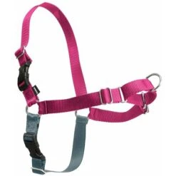 PetSafe Pettorina Modello Easy Walk Per Cani: XS Rosa -Cibi per cani in Italia 51831329 4