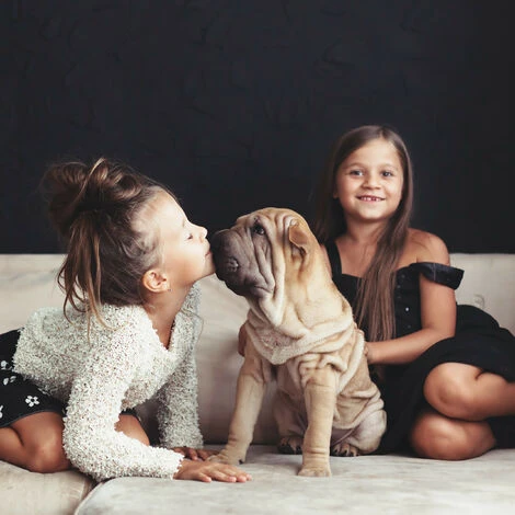 Relaxdays Recinto Per Animali Con Pavimento, Cani Piccoli, Conigli E Cuccioli, Da Interno, Alto, 90x125x78 Cm, Nero 5 Relaxdays Recinto Per Animali Con Pavimento, Cani Piccoli, Conigli E Cuccioli, Da Interno, Alto, 90x125x78 Cm, Nero - immagine 3