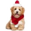 Set Sciarpa E Cappello BABBO NATALE 064227 Ideale Per Cani Di Piccola Taglia 2 Set Sciarpa E Cappello BABBO NATALE 064227 Ideale Per Cani Di Piccola Taglia -Cibi per cani in Italia 5198271 1
