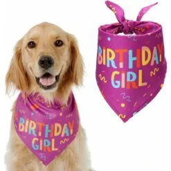 Bandana Per Cani Per Compleanno, Sciarpe Per Cani E Gatti Sciarpa Triangolare Regolabile Decorazione Per Animali Bavaglino Cani Piccoli Medi Grandi (viola)