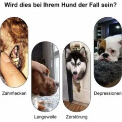 Squeaker Per Cani Premium In Gomma Naturale - Giocattolo Da Masticare Indistruttibile - Spazzolino Da Denti In Gomma Naturale - Non Tossico E Resistente Ai Morsi. 9 Squeaker Per Cani Premium In Gomma Naturale - Giocattolo Da Masticare Indistruttibile - Spazzolino Da Denti In Gomma Naturale - Non Tossico E Resistente Ai Morsi. -Cibi per cani in Italia 52008612 3