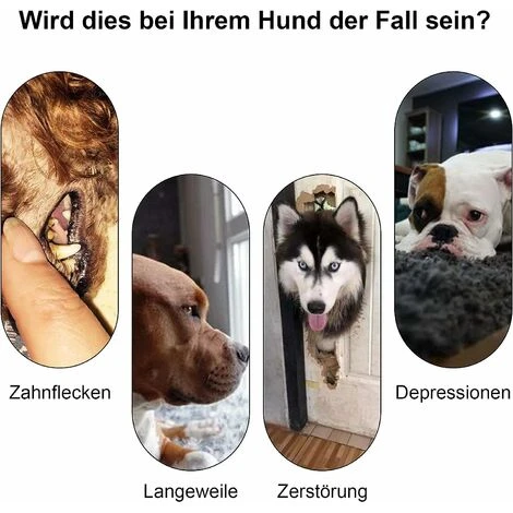 Squeaker Per Cani Premium In Gomma Naturale - Giocattolo Da Masticare Indistruttibile - Spazzolino Da Denti In Gomma Naturale - Non Tossico E Resistente Ai Morsi. 5 Squeaker Per Cani Premium In Gomma Naturale - Giocattolo Da Masticare Indistruttibile - Spazzolino Da Denti In Gomma Naturale - Non Tossico E Resistente Ai Morsi. - immagine 3