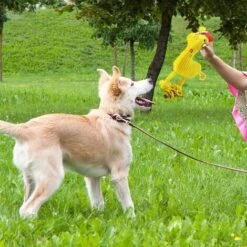 Giocattoli Per Cani Che Squittiscono, Giocattolo Per Cani In Peluche, Giocattoli Interattivi Da Masticare Per Cani Da Compagnia Per La Pulizia Dei Denti, Giocattoli Da Addestramento Per Cuccioli Per C 9 Giocattoli Per Cani Che Squittiscono, Giocattolo Per Cani In Peluche, Giocattoli Interattivi Da Masticare Per Cani Da Compagnia Per La Pulizia Dei Denti, Giocattoli Da Addestramento Per Cuccioli Per C -Cibi per cani in Italia 52008616 3