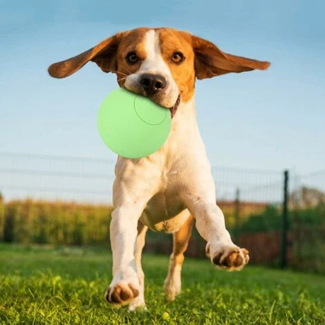 Giocattolo A Sfera Elastica Per Cani Da Compagnia In Gomma Sicura Per Addestramento Interattivo Dei Denti Molari (verde) 5 Giocattolo A Sfera Elastica Per Cani Da Compagnia In Gomma Sicura Per Addestramento Interattivo Dei Denti Molari (verde) - immagine 3