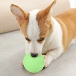 Giocattolo A Sfera Elastica Per Cani Da Compagnia In Gomma Sicura Per Addestramento Interattivo Dei Denti Molari (verde) 10 Giocattolo A Sfera Elastica Per Cani Da Compagnia In Gomma Sicura Per Addestramento Interattivo Dei Denti Molari (verde) -Cibi per cani in Italia 52008783 4