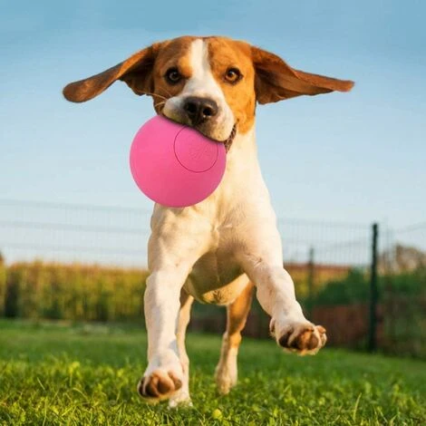 Giocattolo A Sfera Elastica Per Cani Da Compagnia In Gomma Sicura Per Addestramento Interattivo Dei Denti Molari (rosso) 5 Giocattolo A Sfera Elastica Per Cani Da Compagnia In Gomma Sicura Per Addestramento Interattivo Dei Denti Molari (rosso) - immagine 3