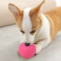Giocattolo A Sfera Elastica Per Cani Da Compagnia In Gomma Sicura Per Addestramento Interattivo Dei Denti Molari (rosso) 10 Giocattolo A Sfera Elastica Per Cani Da Compagnia In Gomma Sicura Per Addestramento Interattivo Dei Denti Molari (rosso) -Cibi per cani in Italia 52008912 4