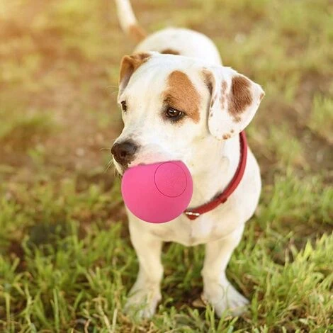 Giocattolo A Sfera Elastica Per Cani Da Compagnia In Gomma Sicura Per Addestramento Interattivo Dei Denti Molari (rosso) 7 Giocattolo A Sfera Elastica Per Cani Da Compagnia In Gomma Sicura Per Addestramento Interattivo Dei Denti Molari (rosso) - immagine 5