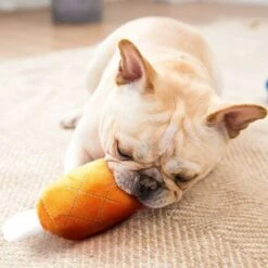 Squeak Dog Toys, Giocattoli Da Masticare Per Cuccioli, Peluche Indistruttibile Per Cani, Giocattolo Per Cani Durevole Per Cuccioli E Cani Di Piccola Taglia, Giocattolo Per Cani In Peluche -Cibi per cani in Italia 52009167 5