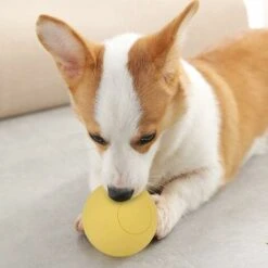 Safe Rubber Pet Dog Elastic Ball Toy For Interactive Playing Molar Teeth Training (Giallo) -Cibi per cani in Italia 52009217 4