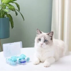 4 Pezzi Stivali Antigraffio Per Gatti, Stivali Antigraffio Per Gatti, Scarpe Da Bagno Antigraffio Per Gatti Stivali Regolabili In Silicone Per Gatti Copri Piedi Per Animali Protezione Per Zampe Di Gat 10 4 Pezzi Stivali Antigraffio Per Gatti, Stivali Antigraffio Per Gatti, Scarpe Da Bagno Antigraffio Per Gatti Stivali Regolabili In Silicone Per Gatti Copri Piedi Per Animali Protezione Per Zampe Di Gat -Cibi per cani in Italia 52009381 4