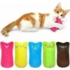 Peluche Catnip, 5pcs Catnip Catnip Toy, Creative Scratch Cat Pillow, Catnip Cushion, Masticare E Detergente Per I Denti, Adatto A Tutti I Gatti E Gattini (1-2) 2 Peluche Catnip, 5pcs Catnip Catnip Toy, Creative Scratch Cat Pillow, Catnip Cushion, Masticare E Detergente Per I Denti, Adatto A Tutti I Gatti E Gattini (1-2) -Cibi per cani in Italia 52009576 1