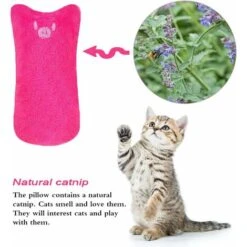 Peluche Catnip, 5pcs Catnip Catnip Toy, Creative Scratch Cat Pillow, Catnip Cushion, Masticare E Detergente Per I Denti, Adatto A Tutti I Gatti E Gattini (1-2) -Cibi per cani in Italia 52009576 4