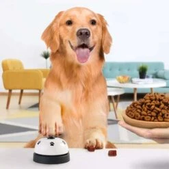 Galaxer Campanello Per Addestramento Per Cani, Confezione Da 2 Campanelli Per Vasino Per Cani Di Piccola E Grande Taglia Materiale In Acciaio Per L'edilizia Abitativa E L'addestramento All'aperto -Cibi per cani in Italia 52010288 5