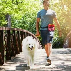 Borsa Per Cani, Borsa Per Addestramento Per Cani, Tracolla Portatile Regolabile Per Marsupio, Con Dispenser Per Sacchetti Di Cacca, Per Trasportare Giocattoli E Dolcetti (rosso) -Cibi per cani in Italia 52011890 5