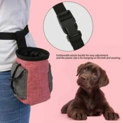 Borsa Per Il Trattamento Dell'animale Domestico Borsa Per L'addestramento All'obbedienza Del Cane Borsa Per La Vita Dell'animale Domestico Borsa Per Esca Borsa Multifunzionale Per Animali Domestici Co -Cibi per cani in Italia 52012604 2