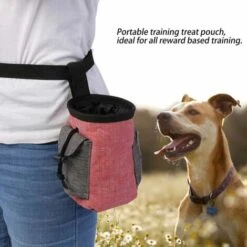 Borsa Per Il Trattamento Dell'animale Domestico Borsa Per L'addestramento All'obbedienza Del Cane Borsa Per La Vita Dell'animale Domestico Borsa Per Esca Borsa Multifunzionale Per Animali Domestici Co -Cibi per cani in Italia 52012604 3