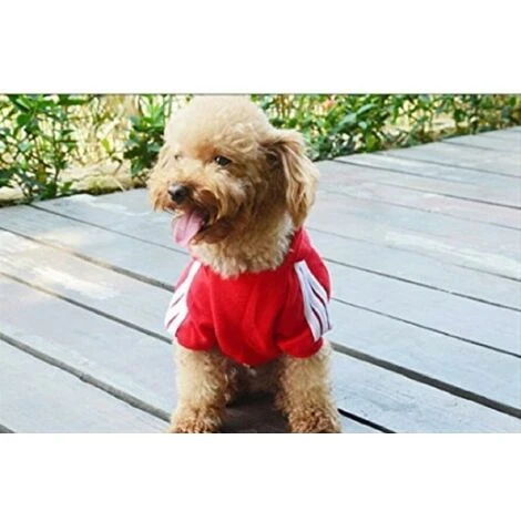 Felpa Con Cappuccio Per Cani E Gatti LangRay Sport Taglia S A 9XL 7 Colori Rosso S 7 Felpa Con Cappuccio Per Cani E Gatti LangRay Sport Taglia S A 9XL 7 Colori Rosso S - immagine 5