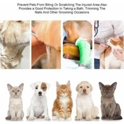 LangRay Pet Cone Cat Recovery Dog Dog Spugna Morbida Cono Collare Protettivo Regolabile Anti-morso E Leccare Ferite Guarigione Di Sicurezza Copricollo (S) -Cibi per cani in Italia 52015587 4