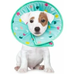 LangRay Pet Cone Cat Recovery Dog Dog Spugna Morbida Cono Collare Protettivo Regolabile Anti-morso E Leccare Ferite Guarigione Di Sicurezza Copricollo (S) -Cibi per cani in Italia 52015587 5