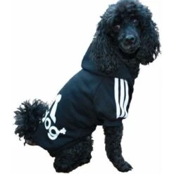 Felpa Con Cappuccio Per Cani/gatti LangRay Sport Taglia S A 9XL 7 Colori Nero S 11 Felpa Con Cappuccio Per Cani/gatti LangRay Sport Taglia S A 9XL 7 Colori Nero S -Cibi per cani in Italia 52016058 5