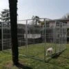 Box Per Cani Da Esterno Con Zincatura Elettrolitica Da 300x300x Altezza 180 Cm -Cibi per cani in Italia 53076102 1