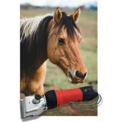 Oxford Tosacavallo Tosatrice Elettrica Tosa Cavallo Cavalli Bovini 600W 2500RPM 2011 10 Oxford Tosacavallo Tosatrice Elettrica Tosa Cavallo Cavalli Bovini 600W 2500RPM 2011 -Cibi per cani in Italia 53105967 4