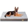 XXL Grande Materassino Letto Cane Materasso Cuccia Divano Per Cane Lavabile 120x90x10cm 2 XXL Grande Materassino Letto Cane Materasso Cuccia Divano Per Cane Lavabile 120x90x10cm -Cibi per cani in Italia 53108938 1