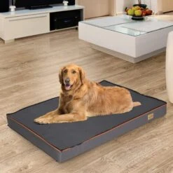 XXL Grande Materassino Letto Cane Materasso Cuccia Divano Per Cane Lavabile 120x90x10cm -Cibi per cani in Italia 53108938 4